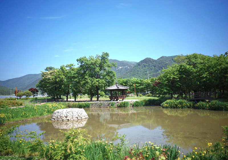연꽃테마원