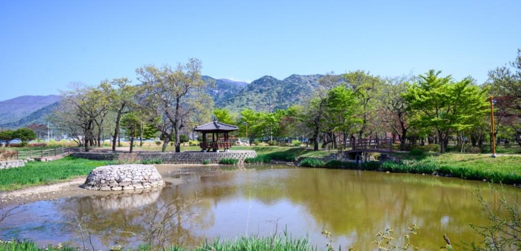 연꽃테마원