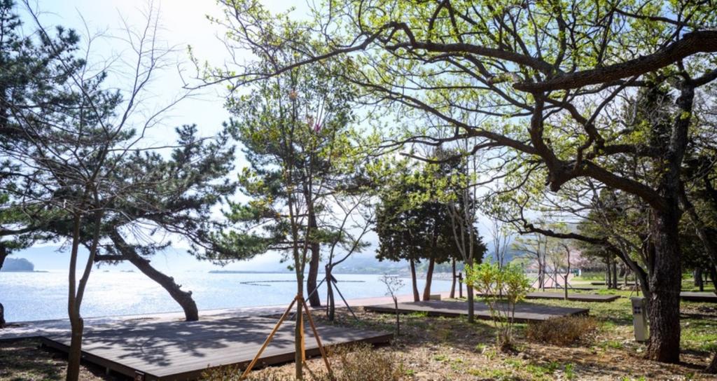 캠핑사이트