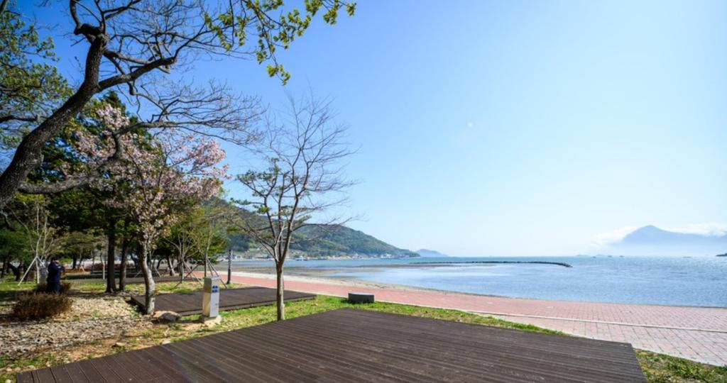 캠핑사이트